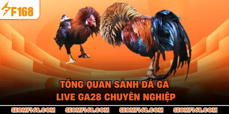 Tổng quan sảnh đá gà live GA28 chuyên nghiệp